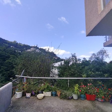 Giorgi Kvariati Otel Oda fotoğraf