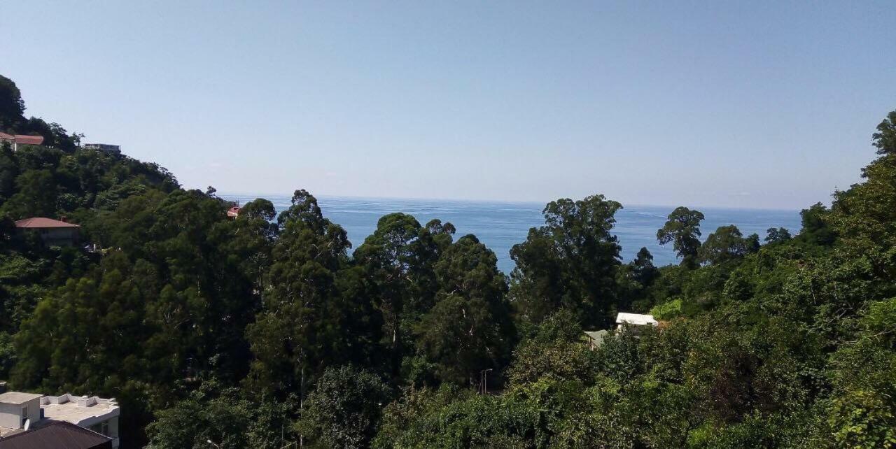 Giorgi Kvariati Otel Dış mekan fotoğraf